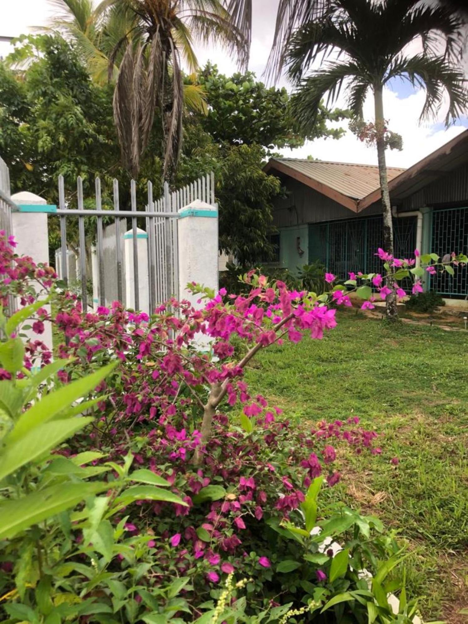 Unu Pikin Guesthouse Paramaribo Exterior photo